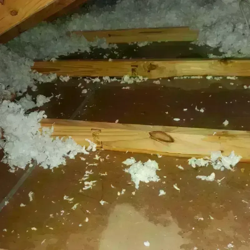 Attic Water Damage in Lake Belvedere Estates, FL